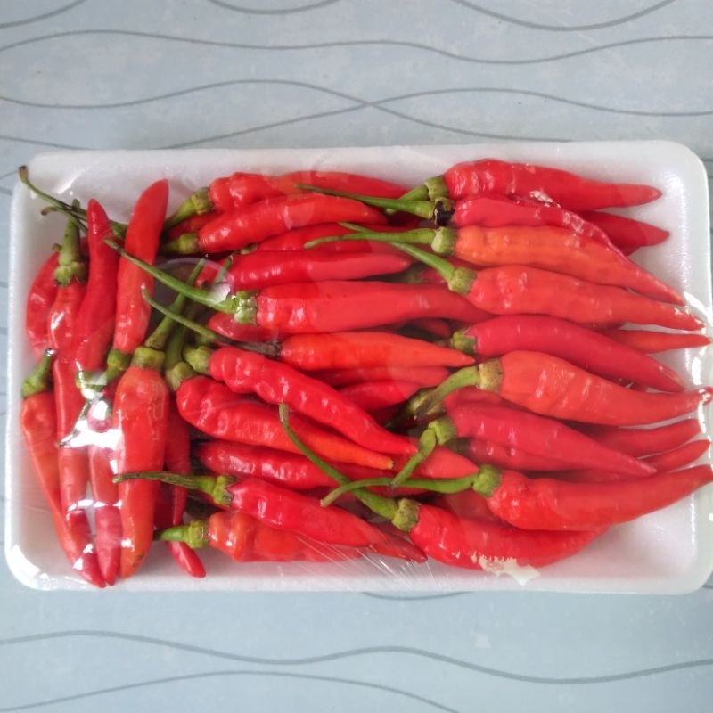 

cabai rawit merah domba