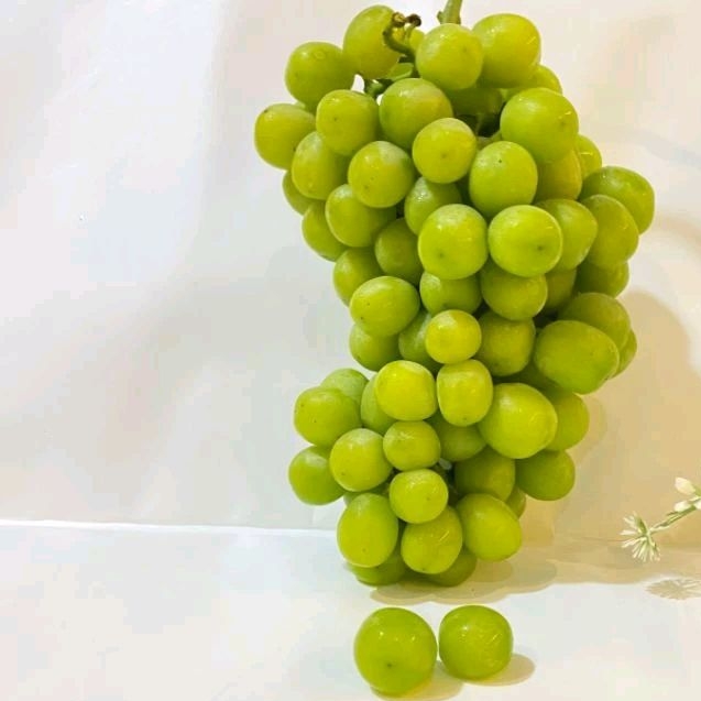 

Anggur Muscat Curah 1kg