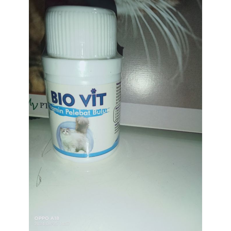 bio vit kapsul