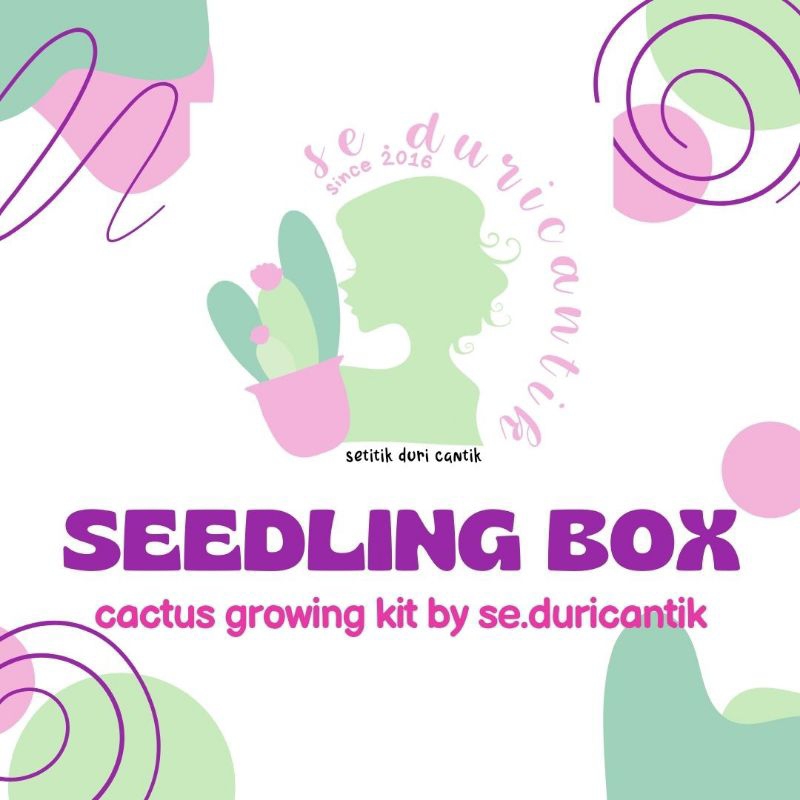 SEEDLING BOX PAKET SEMAI BIJI KAKTUS GYMNO MIHA INDUK FATHER MOTHER VARIEGATA. BIJI BENIH KAKTUS PAK