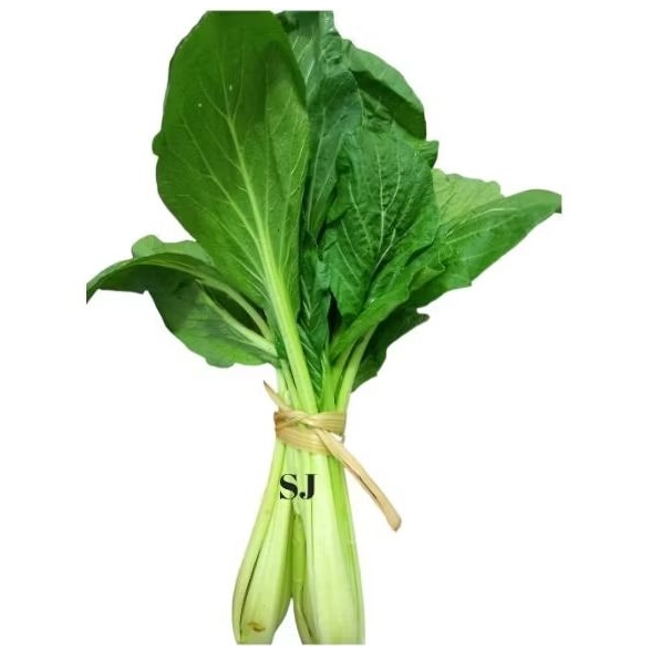 

Sawi Hijau Sosin 1ikat & per 1kg