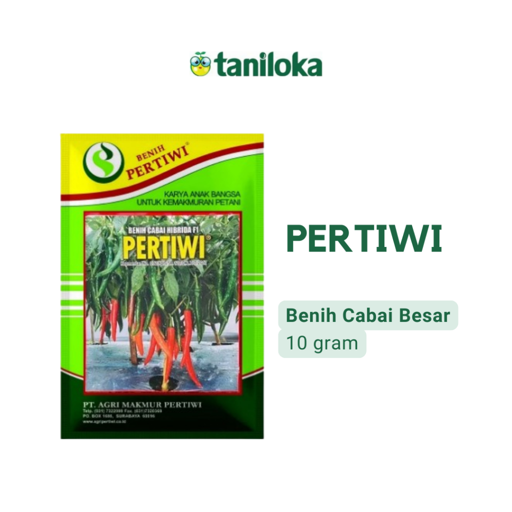 Benih Pertiwi - Benih Cabai Besar Pertiwi (10 Gram)