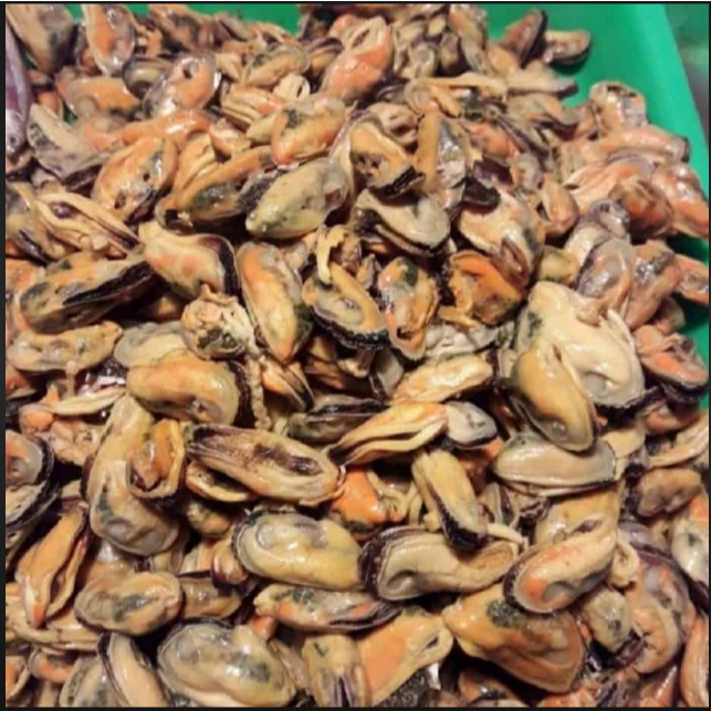 

Kerang Kupas Segar 250 gr Kerang Kupas Seafood Cikarang
