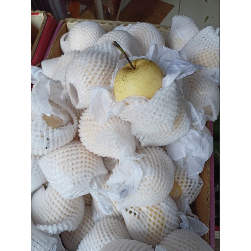 

buah pear Century 1kg