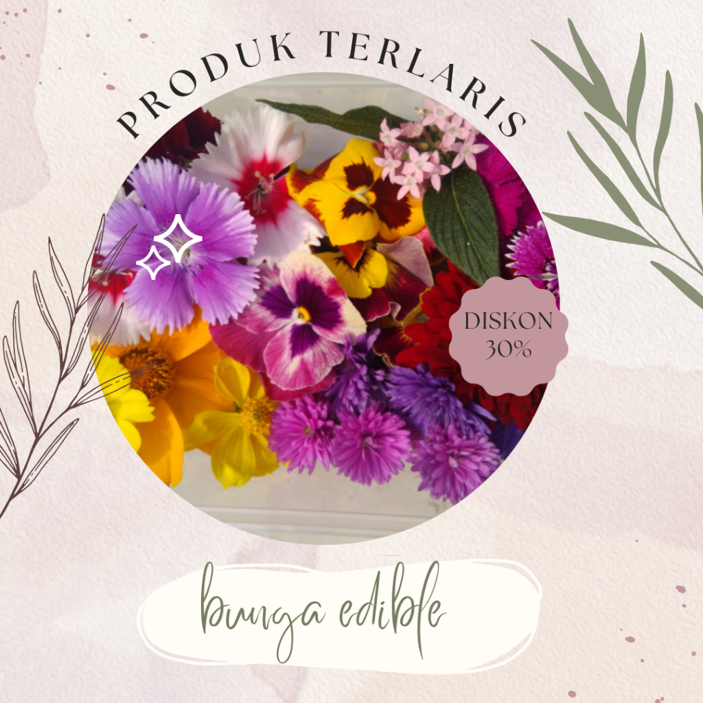 

BIG MIX EDIBLE FLOWER- KOMPLIT 12MACAM BUNGA TERBARU