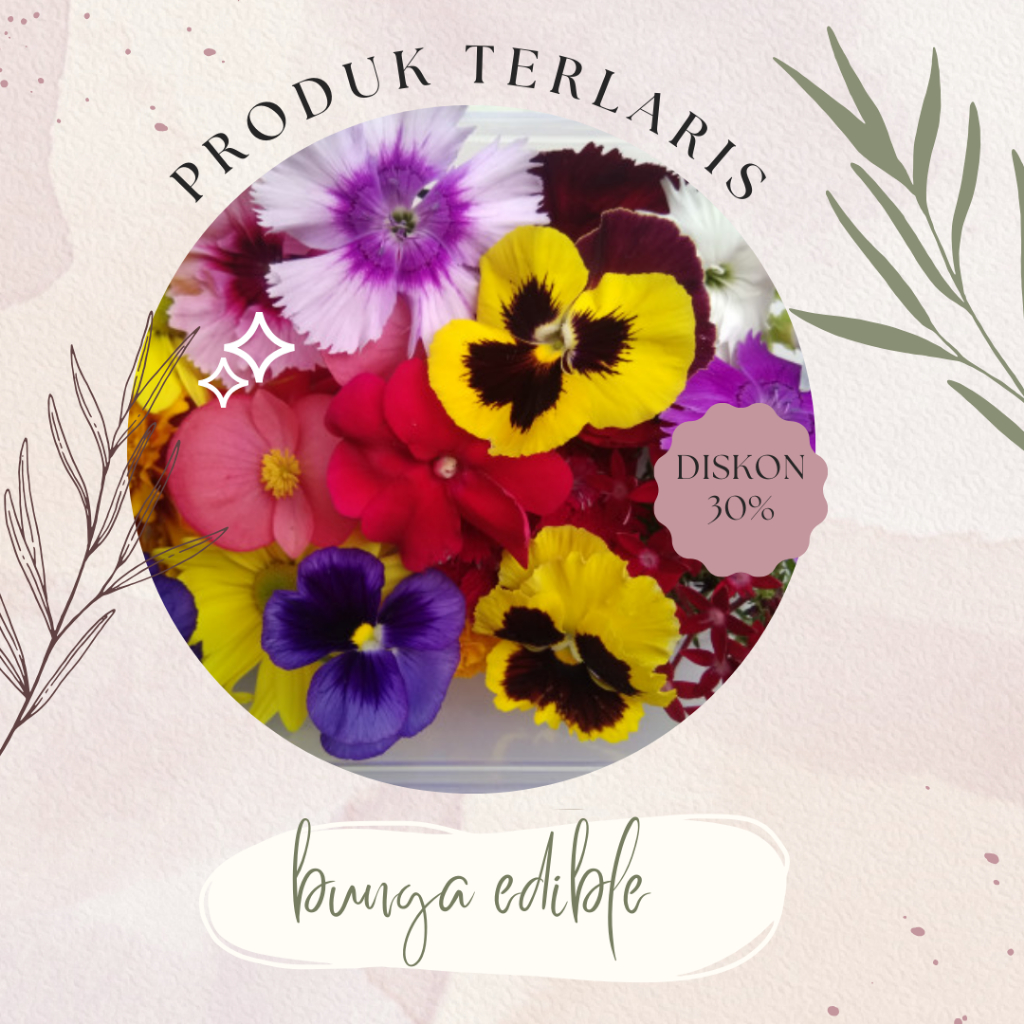 

MIX EDIBLE FLOWERS - KECIL 24 PCS TERBARU
