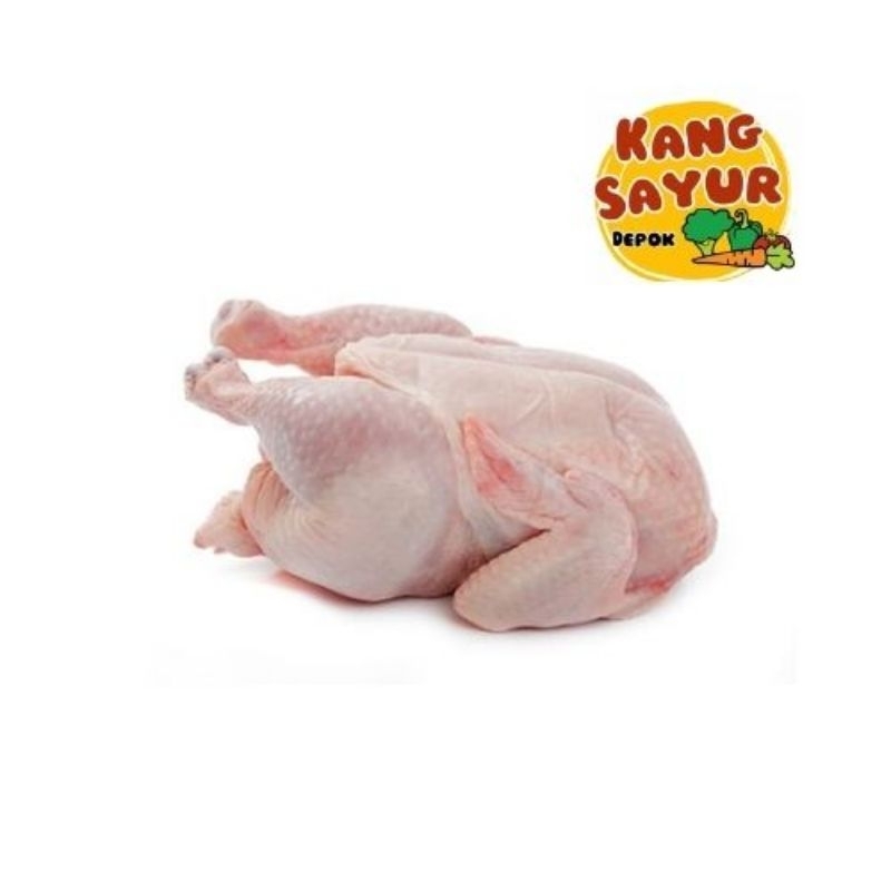 

Ayam Utuh / Ekor