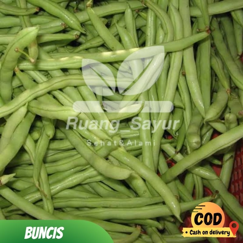 

BUNCIS / SAYUR BUNCIS 1 KG