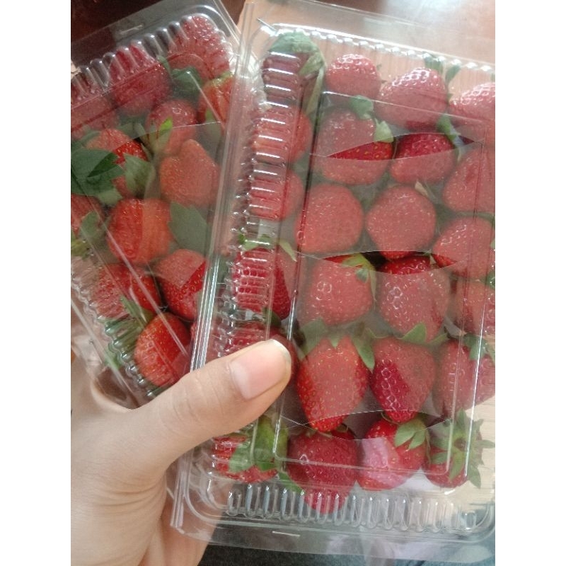 

Strawberry segar