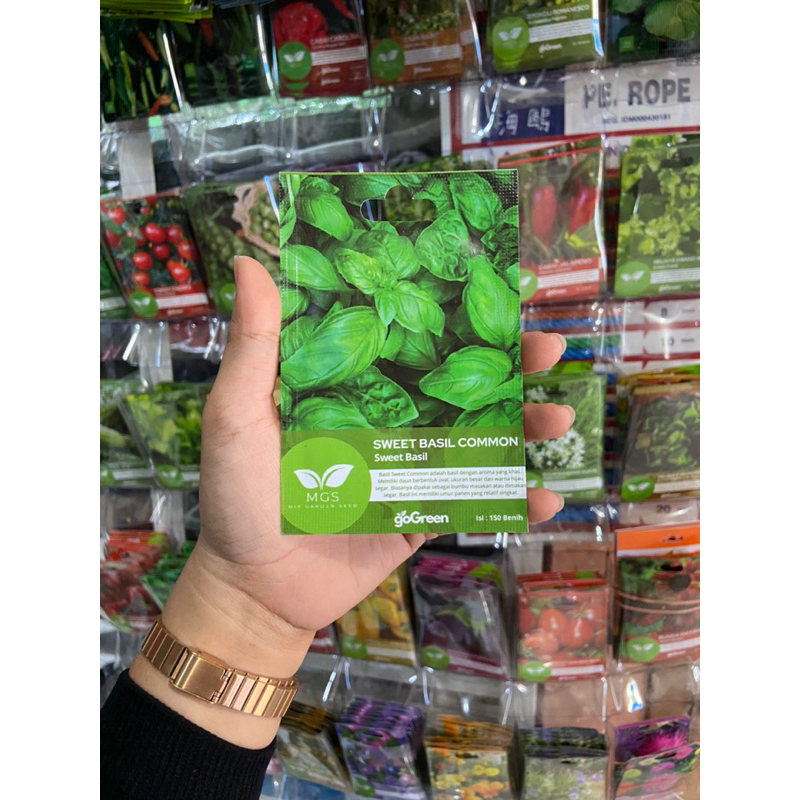 Benih Basil/Daun Basil/Basil Herbs-Benih Daun Basil
