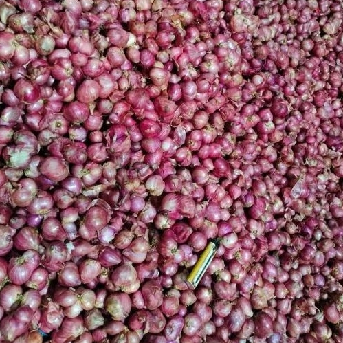 

Bawang Merah Besar Berat 1kg.