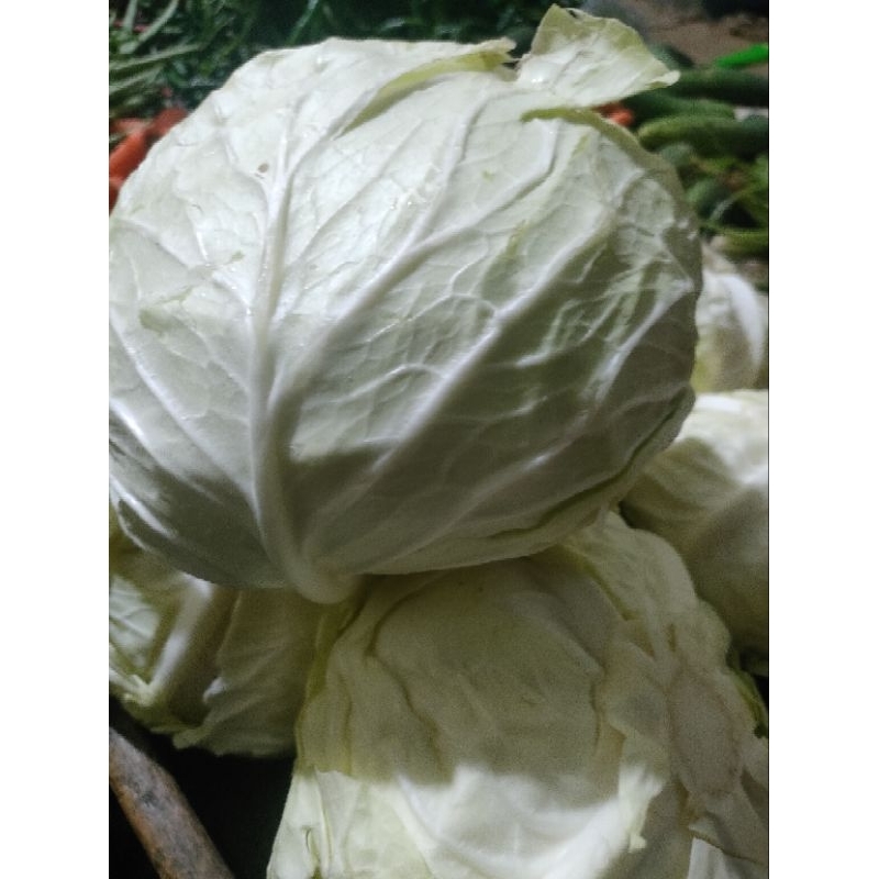 

Sayur Kol/Kubis