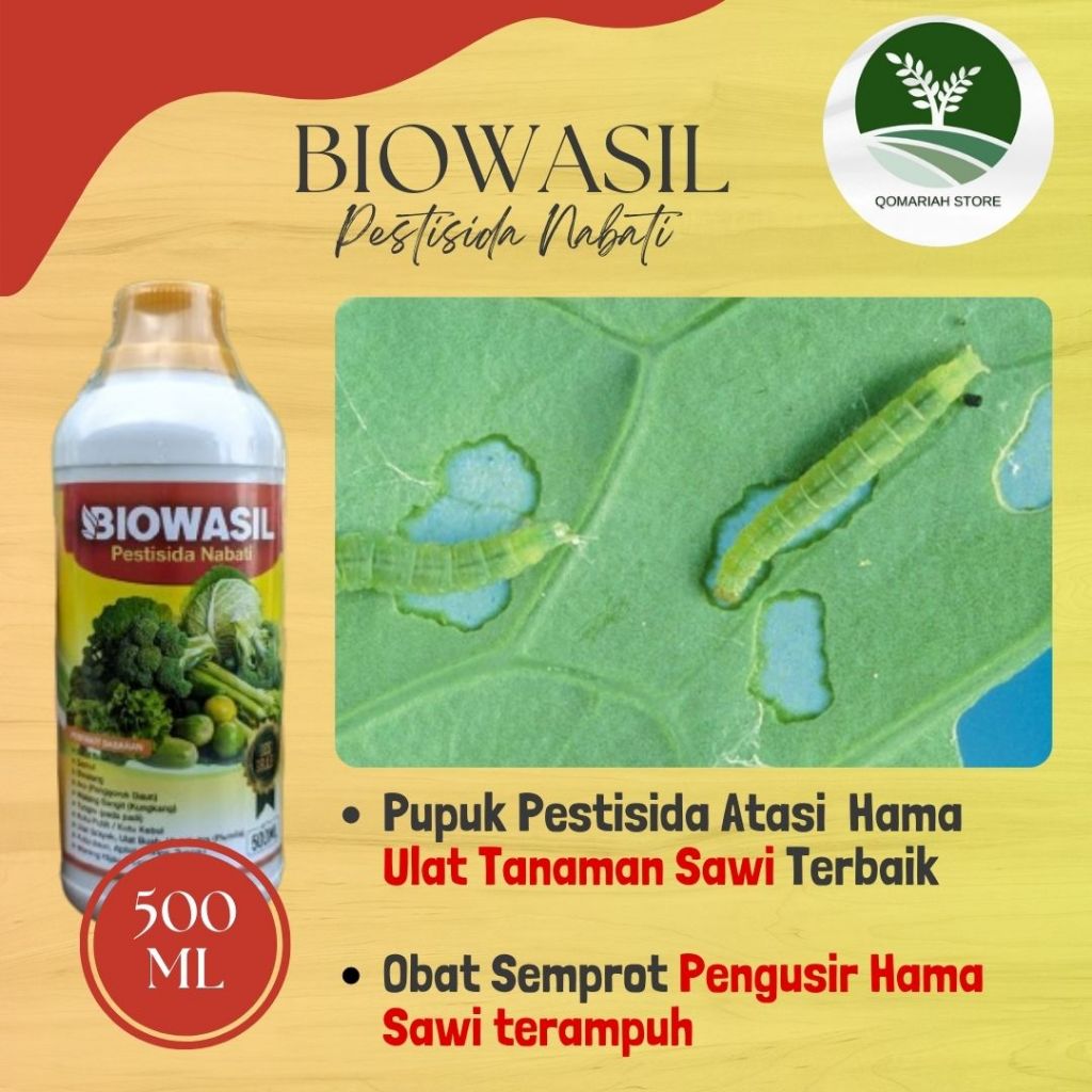 Pupuk Pestisida Hama Ulat Sawi Terbaik BIOWASIL 500ml - Insektisida pengusir hama ulat tanaman sawi 