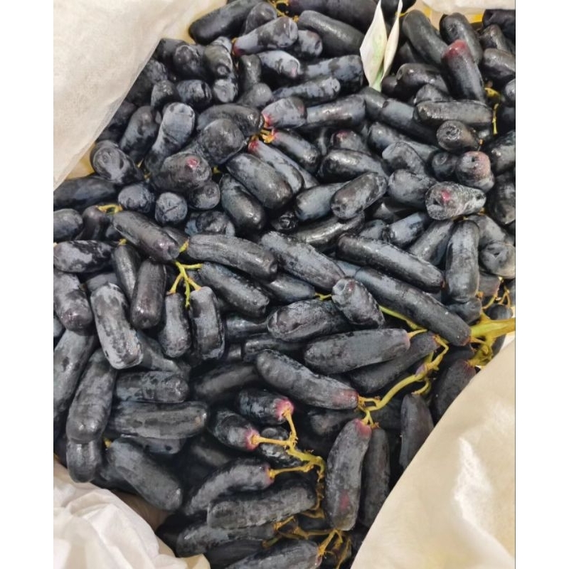 

Anggur Jari Sweet Saphire curah 1 pack 500 gr