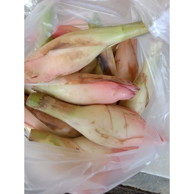 

bumbu kecombrang kincung honje segar