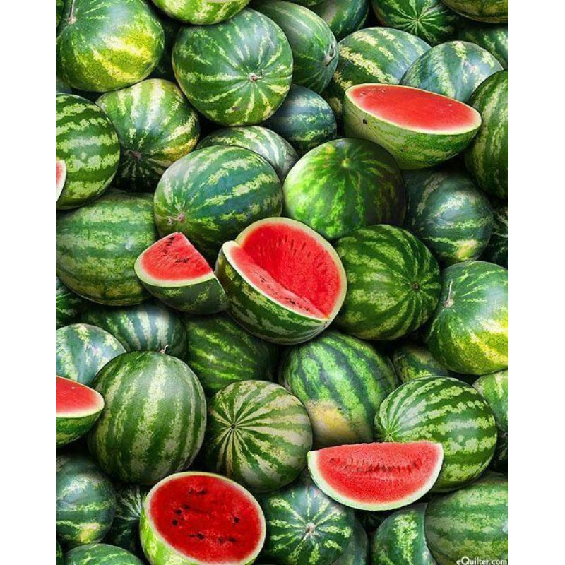 

PROMO!!! 50 BENIH SEMANGKA MERAH F1 JUMBO BER BIJI