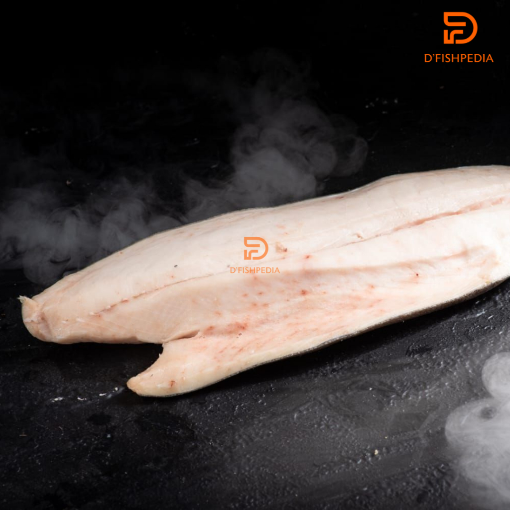 

IKAN GINDARA WHOLE FILLET / FROZEN FISH / IKAN BEKU / FROZEN GINDARA / IKAN MURAH / BLACK COD