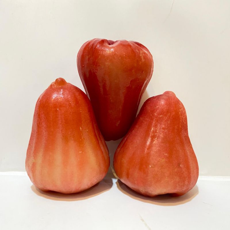 

Jambu Citra 250gr