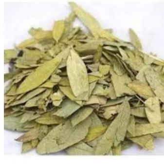

Daun Jati Cina Kering Daun Senna