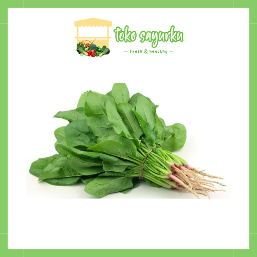 

sayur bayan hijau segar per ikat