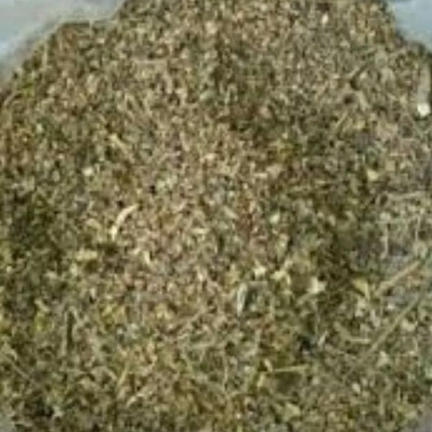 

Daun Meniran Kering Kualitas Premium