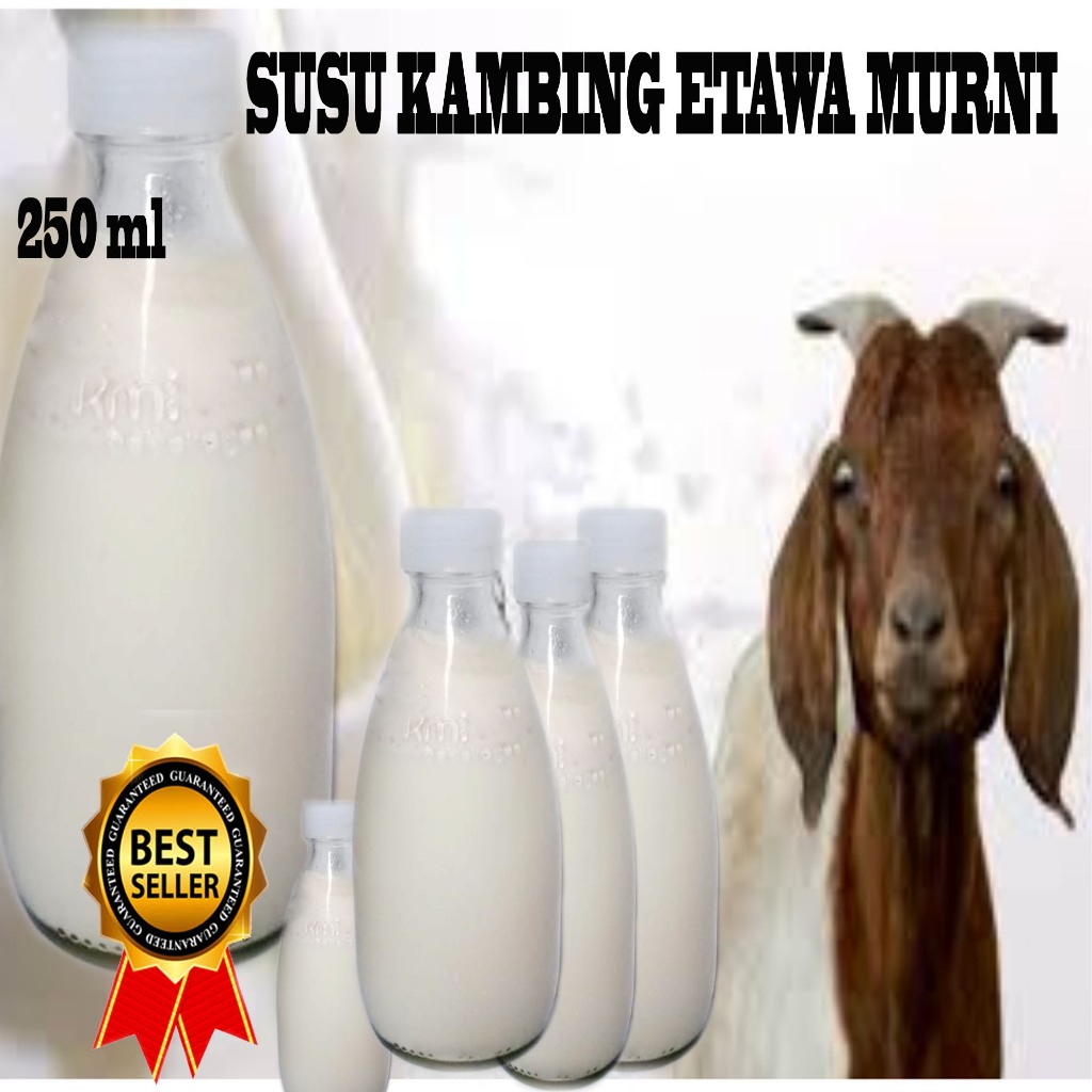 

Susu Kambing Etawa Murni Asli Mentah 250ml