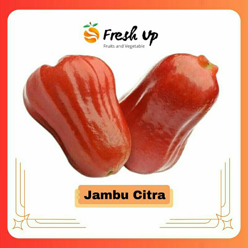 

RB Jambu Citra Merah Super Asam Manis Garing