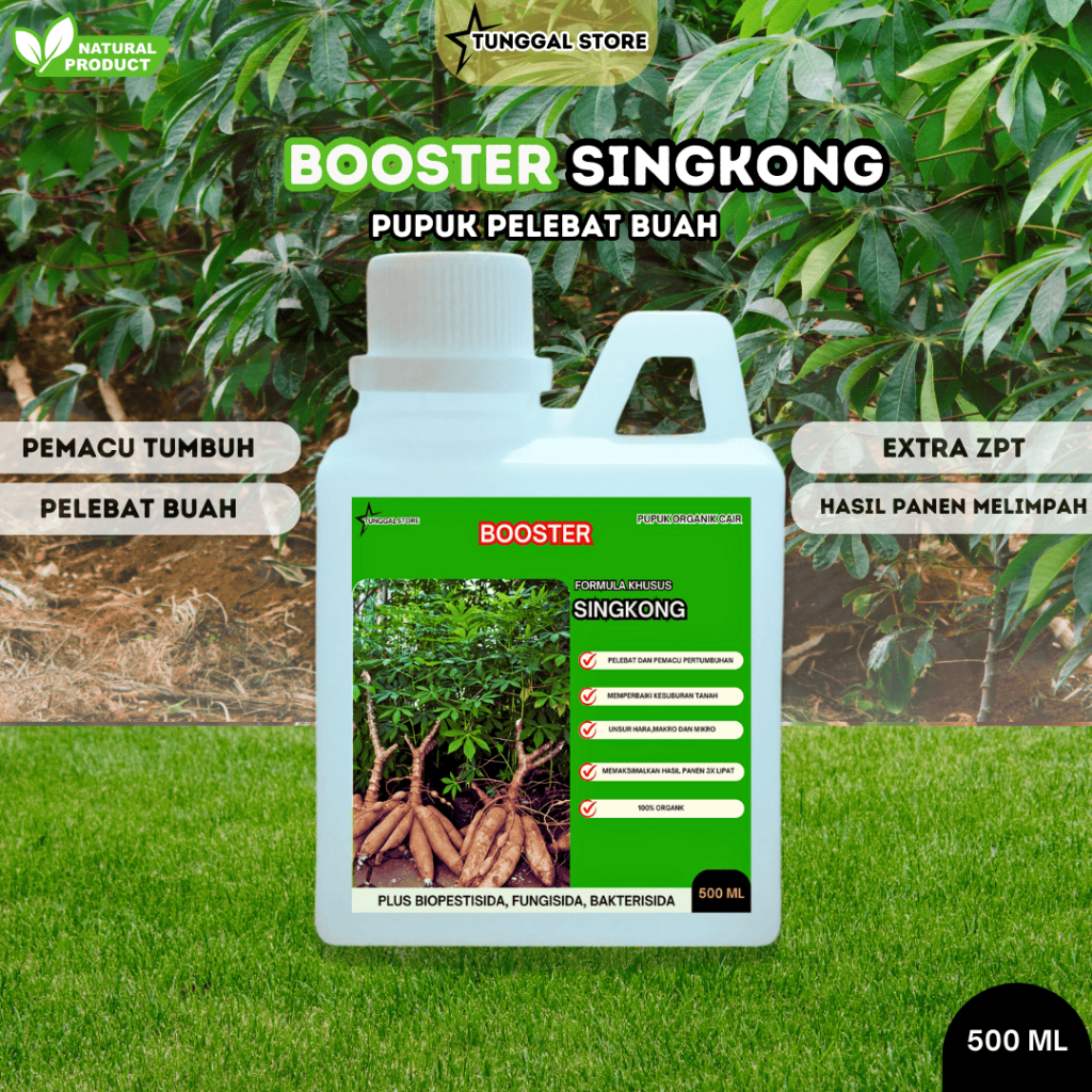 PUPUK ORGANIK CAIR TANAMAN SINGKONG, BOOSTER PELEBAT DAN PERANGSANG PERTUMBUHAN TANAMAN SINGKONG