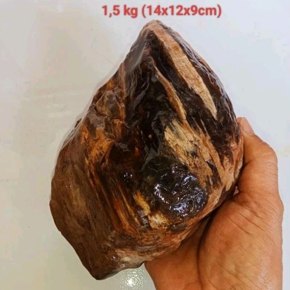 batu fosil galih kelor kristal (491)