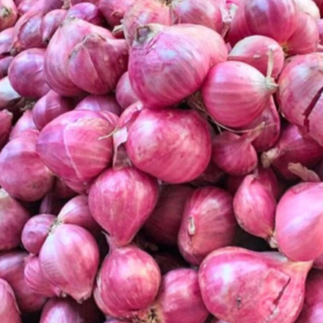 

Bawang merah super /1kg/bawang pilihan kwalitas terbaik