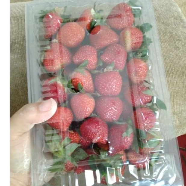 

buah strawbery segar 500gram