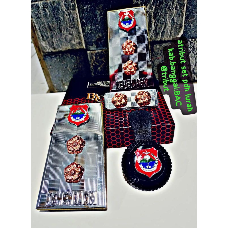 pangkat Lurah terbaru 2024 sesuai PERMENDAGRI