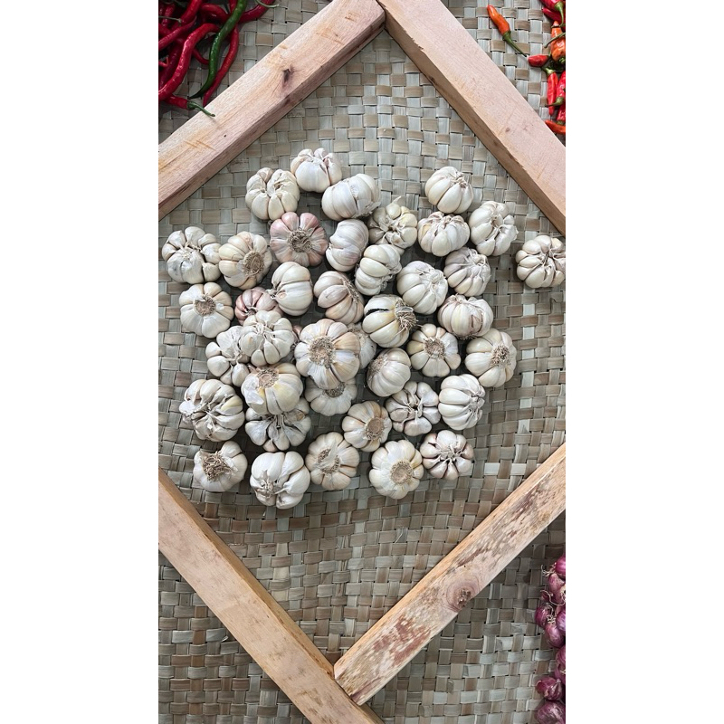 

Bawang Putih Sinco 500gr Super