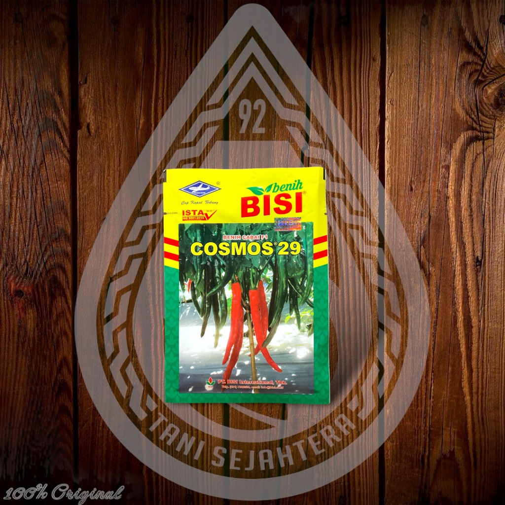 BENIH CABAI BESAR COSMOS 29 (10GR)