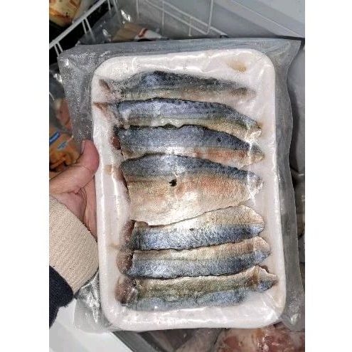 

Kembung Kuring Fillet