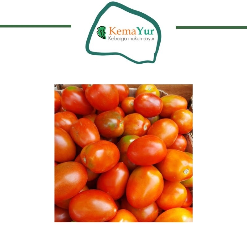 

TOMAT BUAH 1KG