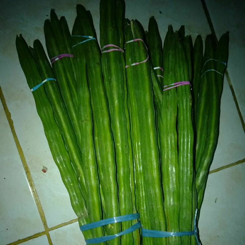 

Sayur Buah Kelor Klentang segar perikat