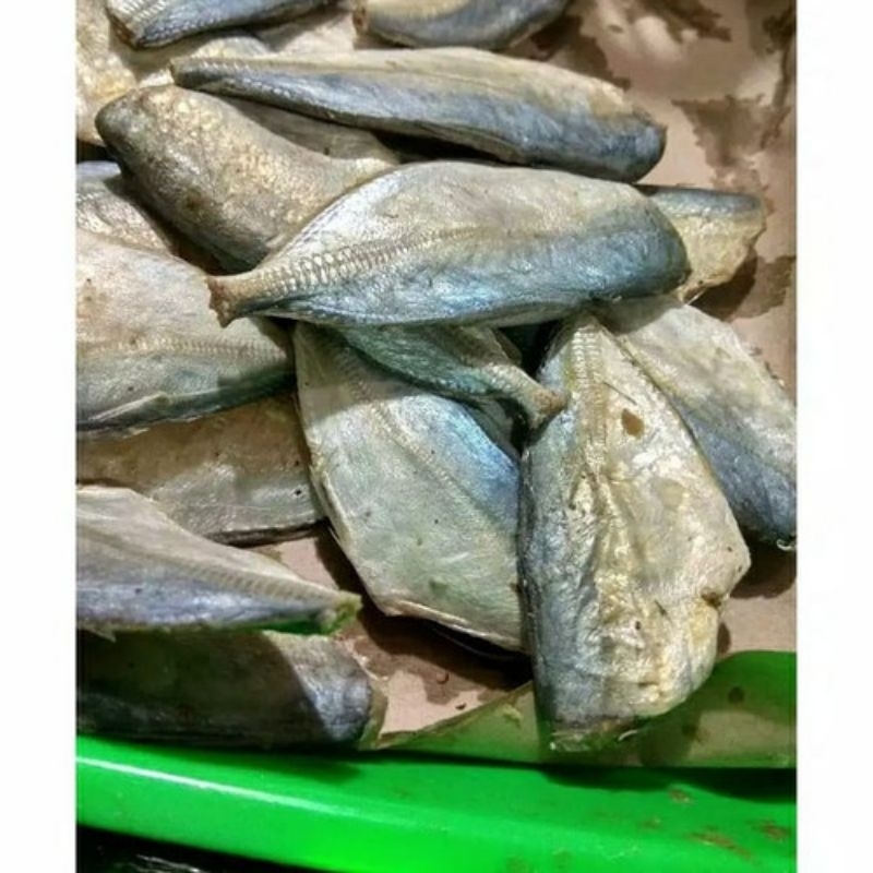 ikan peda buntung