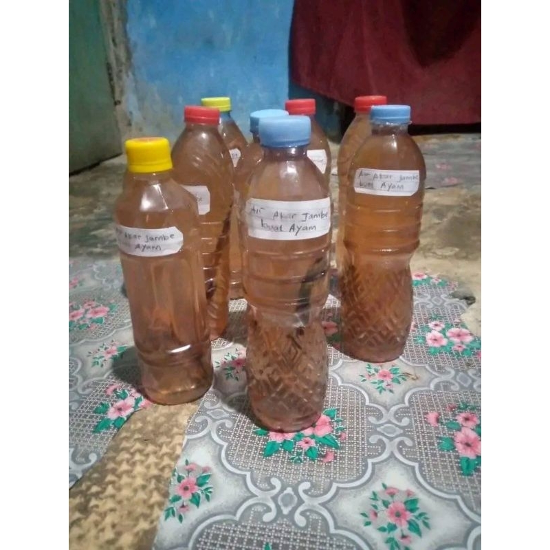 

air rebusan akar jambe muda/pinang muda