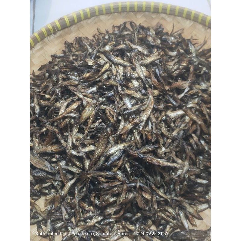 

IKAN SALAI SEMILANG