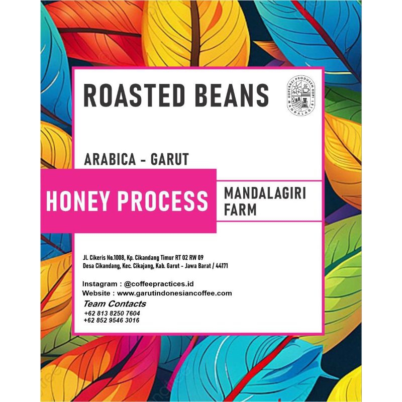 

KOPI ARABICA-GARUT HONEY PROCESS