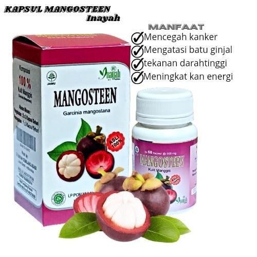 Kapsul Ekstrak Kulit Manggis Mangosteen 60 Kapsul