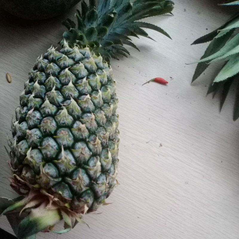 

nanas madu