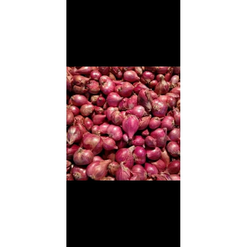 

bawang merah
