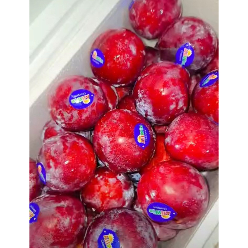 

Buah plum merah 1 kg