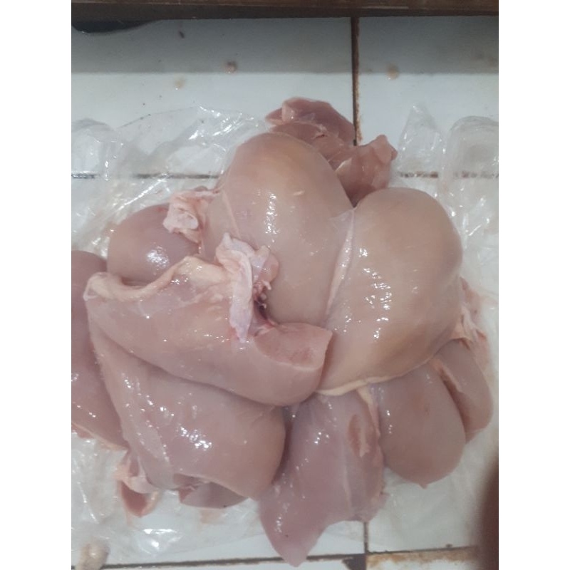 

Boneless/Fillet Dada ayam Fresh