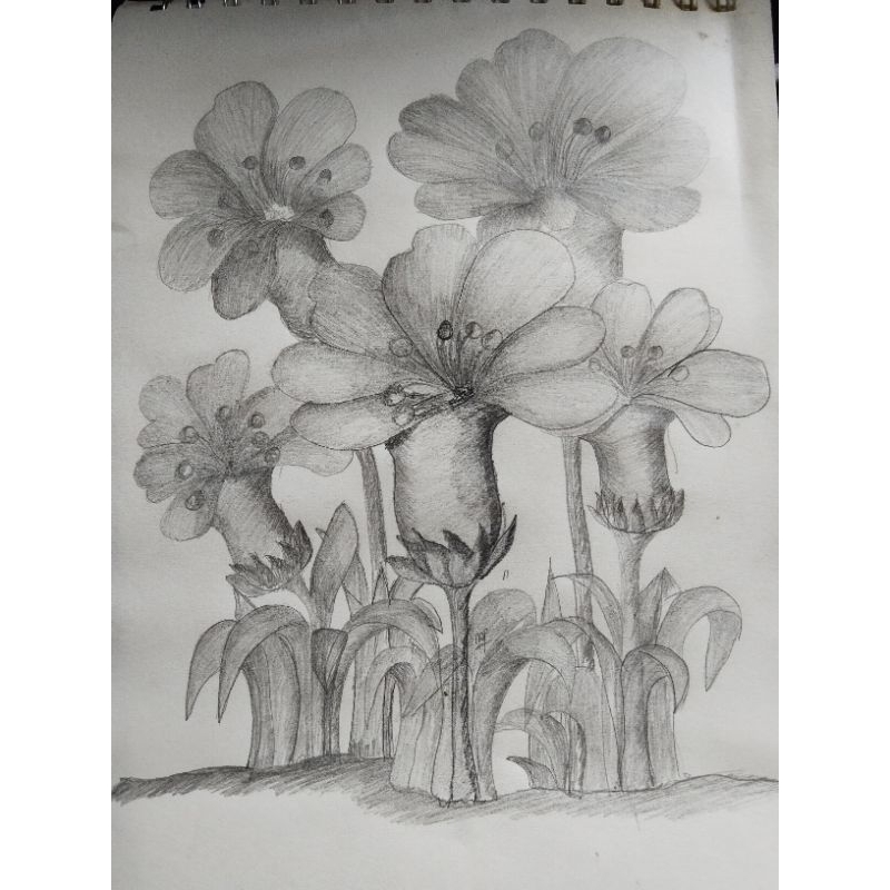 

Sketsa tangan original by mamil