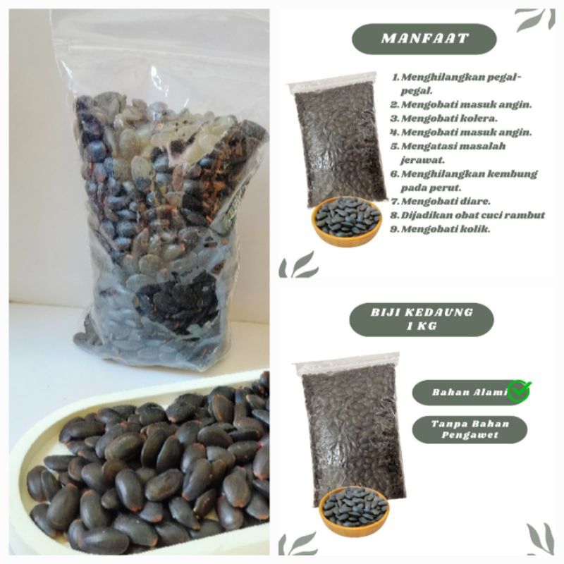 

Biji Kedaung Kering 1kg - Biji Kedawung Kering