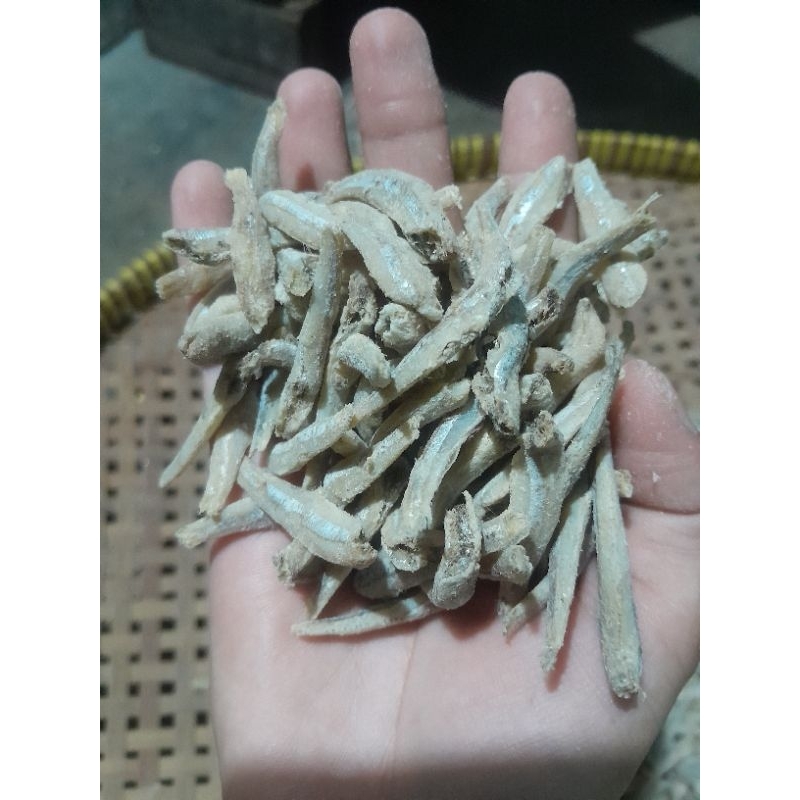 

Teri jengki rebus 250gr
