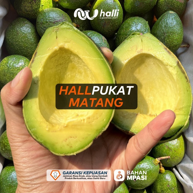 

[MATANG] Hallpukat, Alpukat Mentega Premium Matang. GARANSI KEPUASAN!